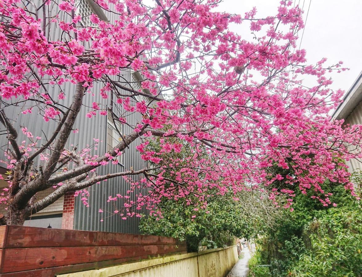 Xinshe Xiao Shu Time Homestay エクステリア 写真