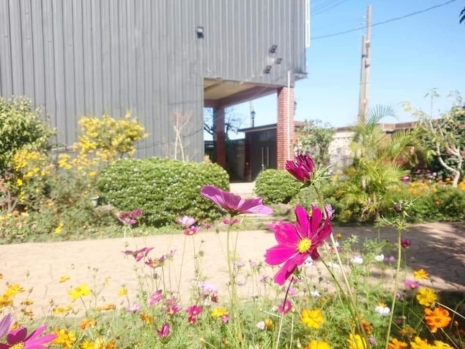 Xinshe Xiao Shu Time Homestay エクステリア 写真