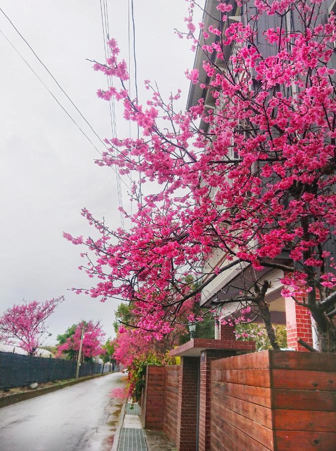Xinshe Xiao Shu Time Homestay エクステリア 写真